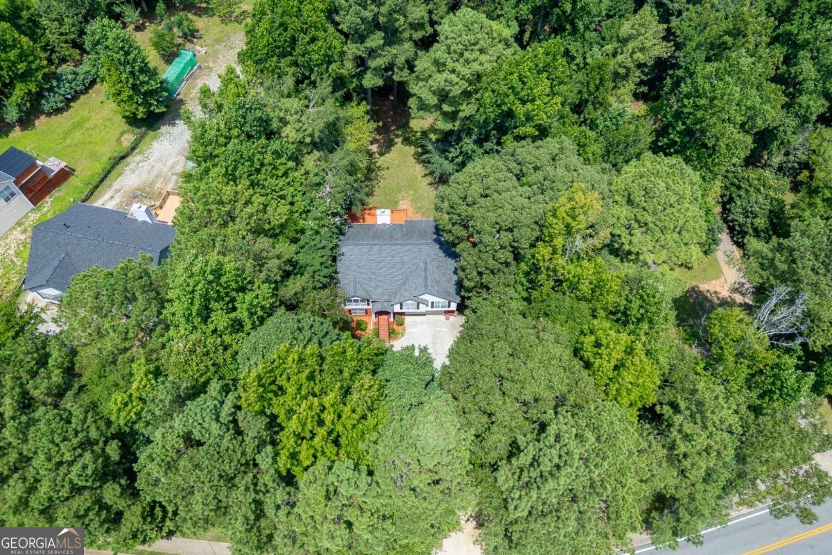1105 TAB ROBERTS Road Lawrenceville - Photo 43