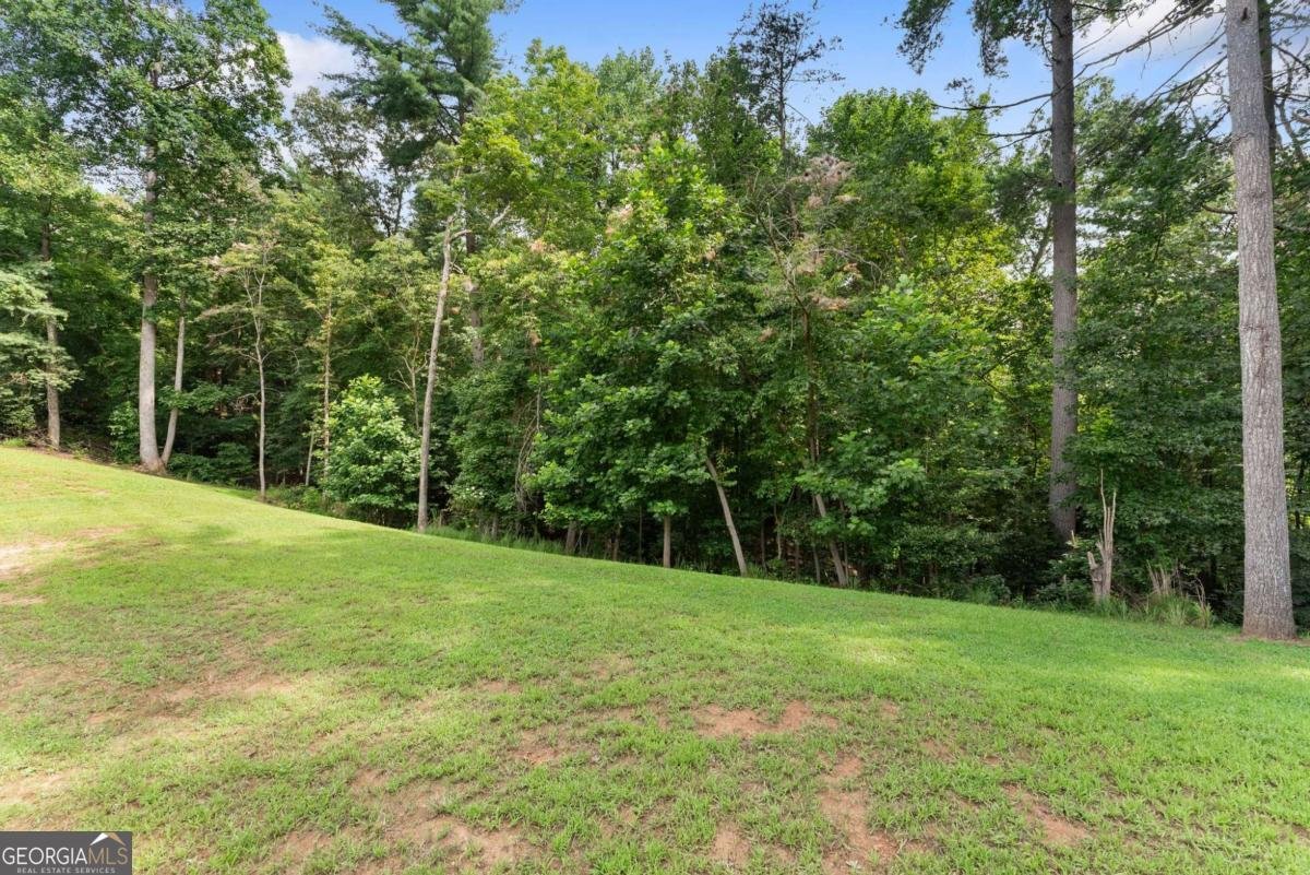 144 Whitetail Ridge Dawsonville - Photo 47