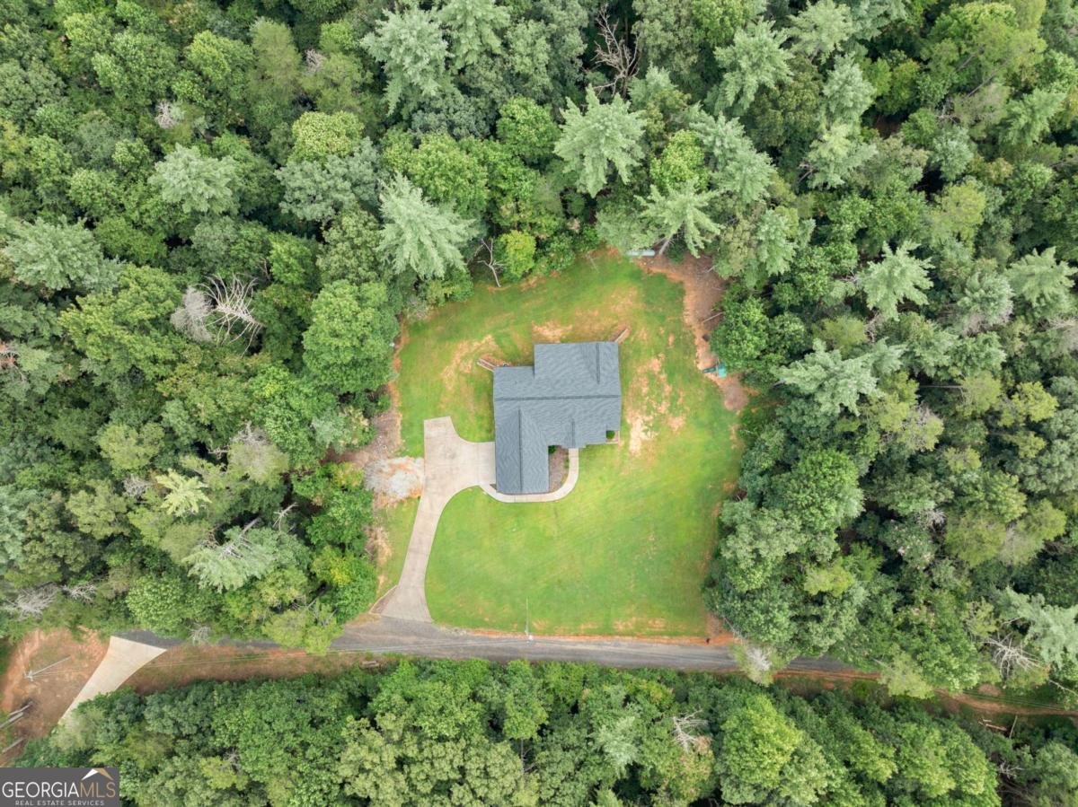 144 Whitetail Ridge Dawsonville - Photo 52
