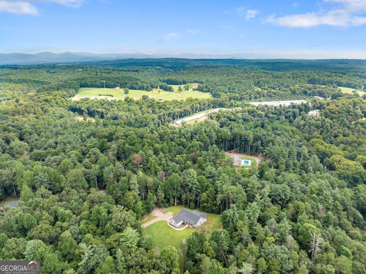 144 Whitetail Ridge Dawsonville - Photo 53