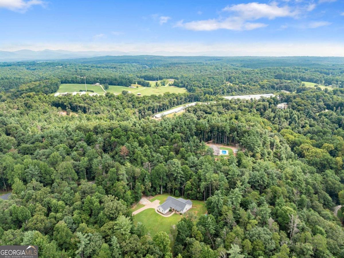 144 Whitetail Ridge Dawsonville - Photo 54