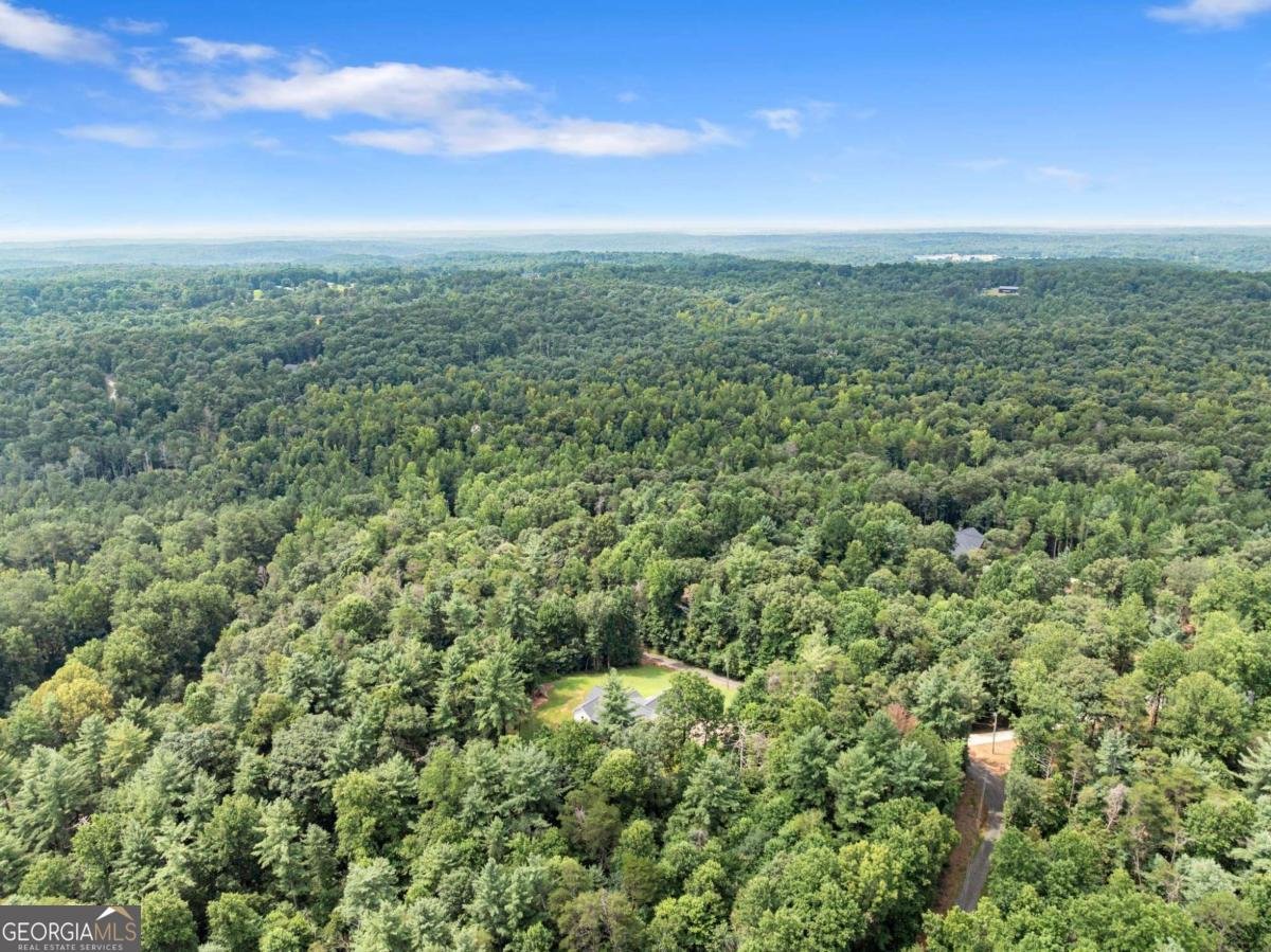 144 Whitetail Ridge Dawsonville - Photo 57