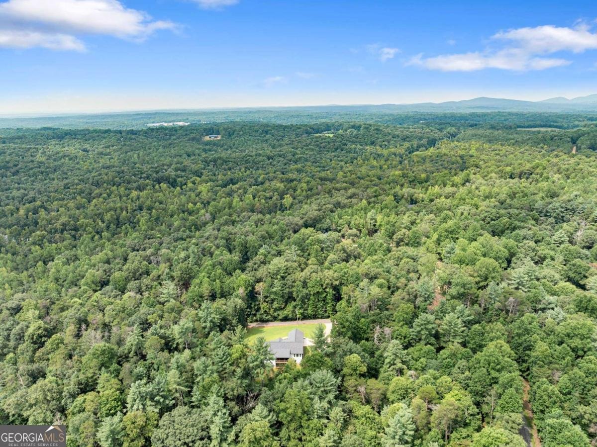 144 Whitetail Ridge Dawsonville - Photo 58