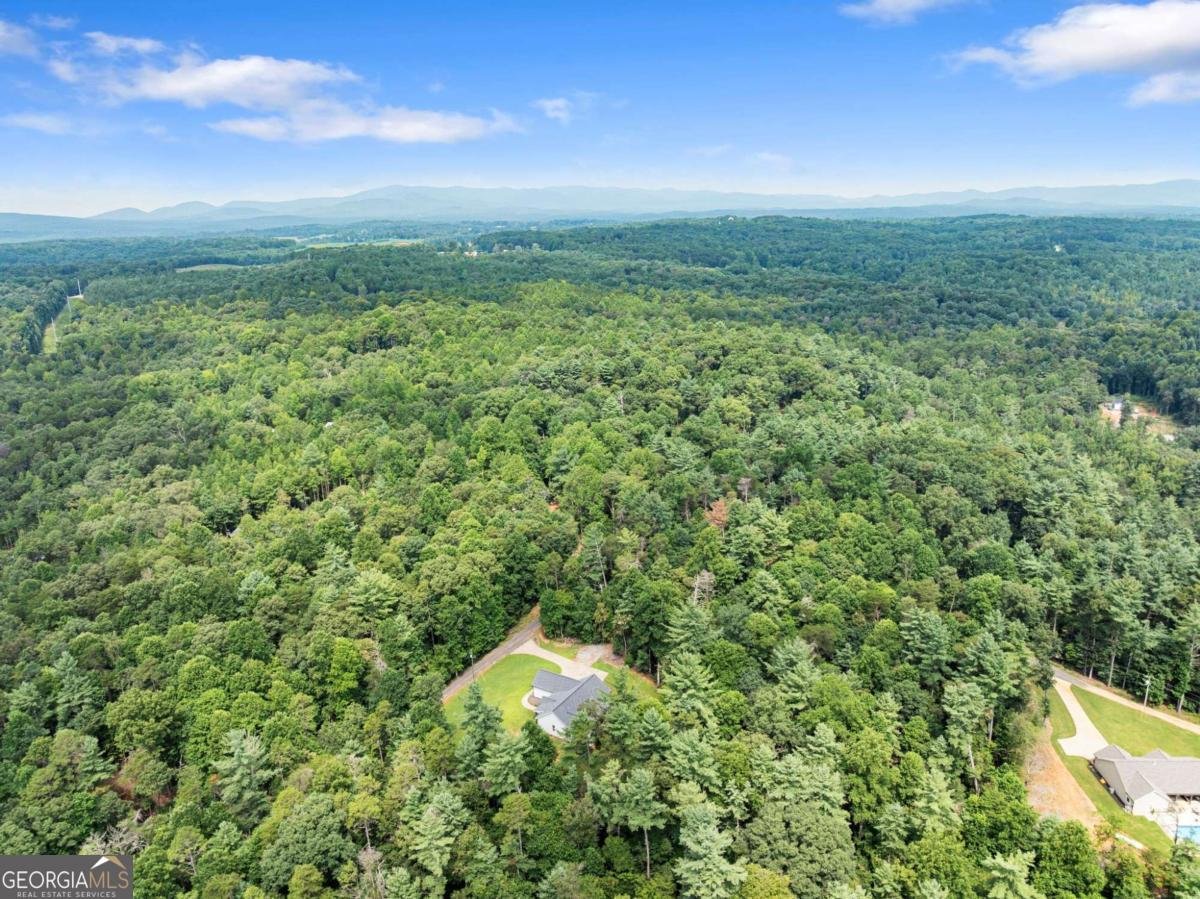 144 Whitetail Ridge Dawsonville - Photo 59