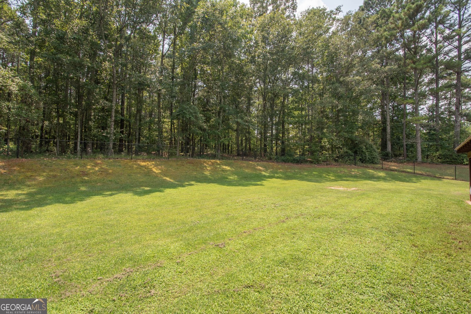 330 Hayward Bishop Way Senoia - Photo 34