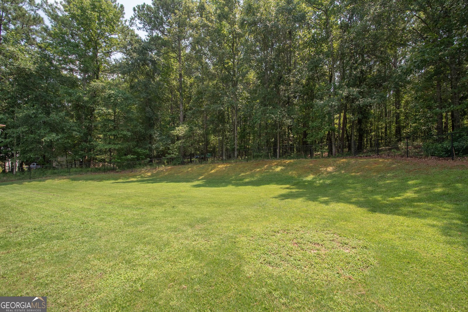 330 Hayward Bishop Way Senoia - Photo 37