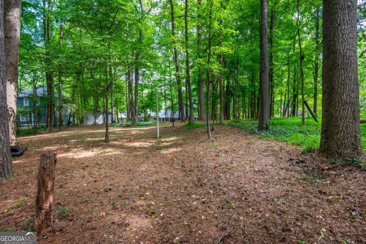 180 Wills Lane Alpharetta - Photo 58