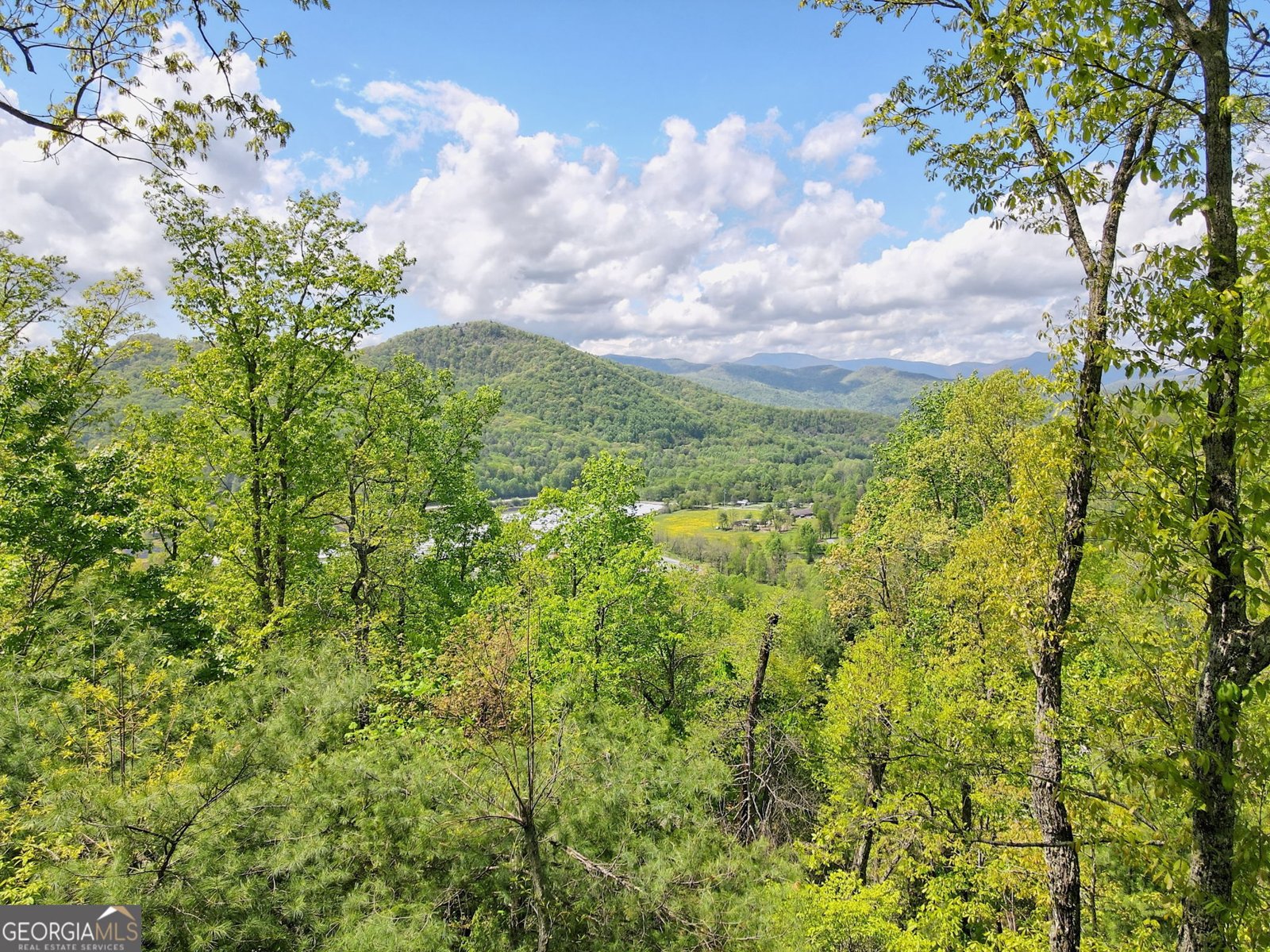 331 Camelot Trail Clayton - Photo 60
