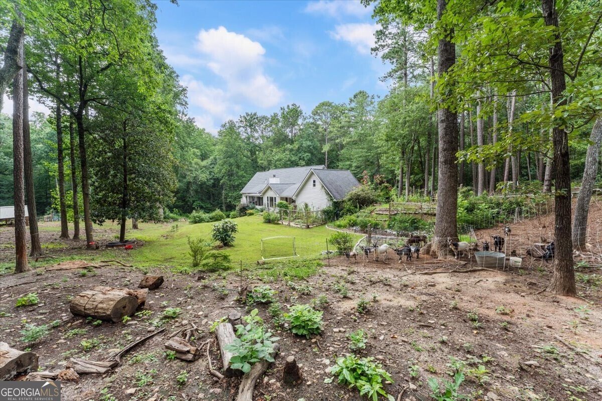 1279 Dillon Road Austell - Photo 49