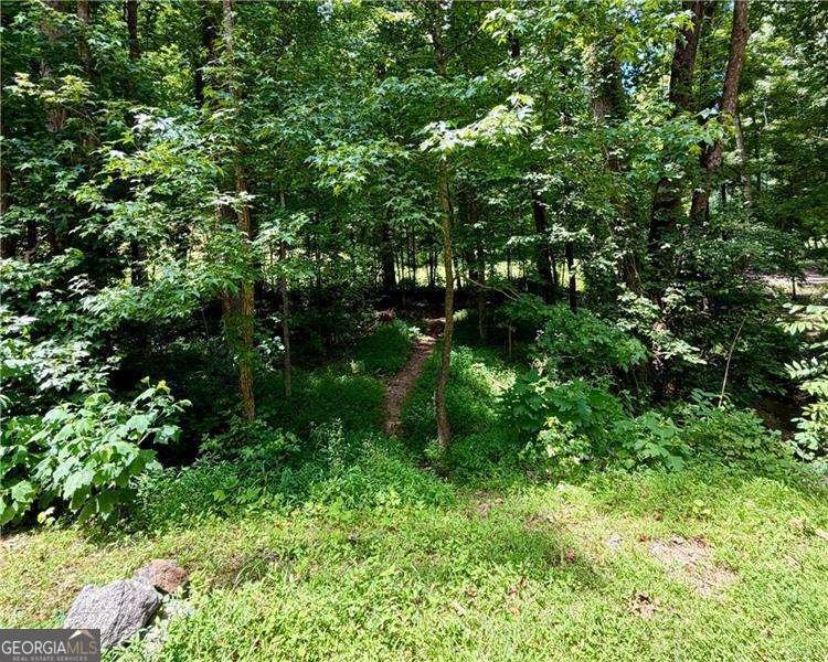 311 Woodland Brook Drive Canton - Photo 66