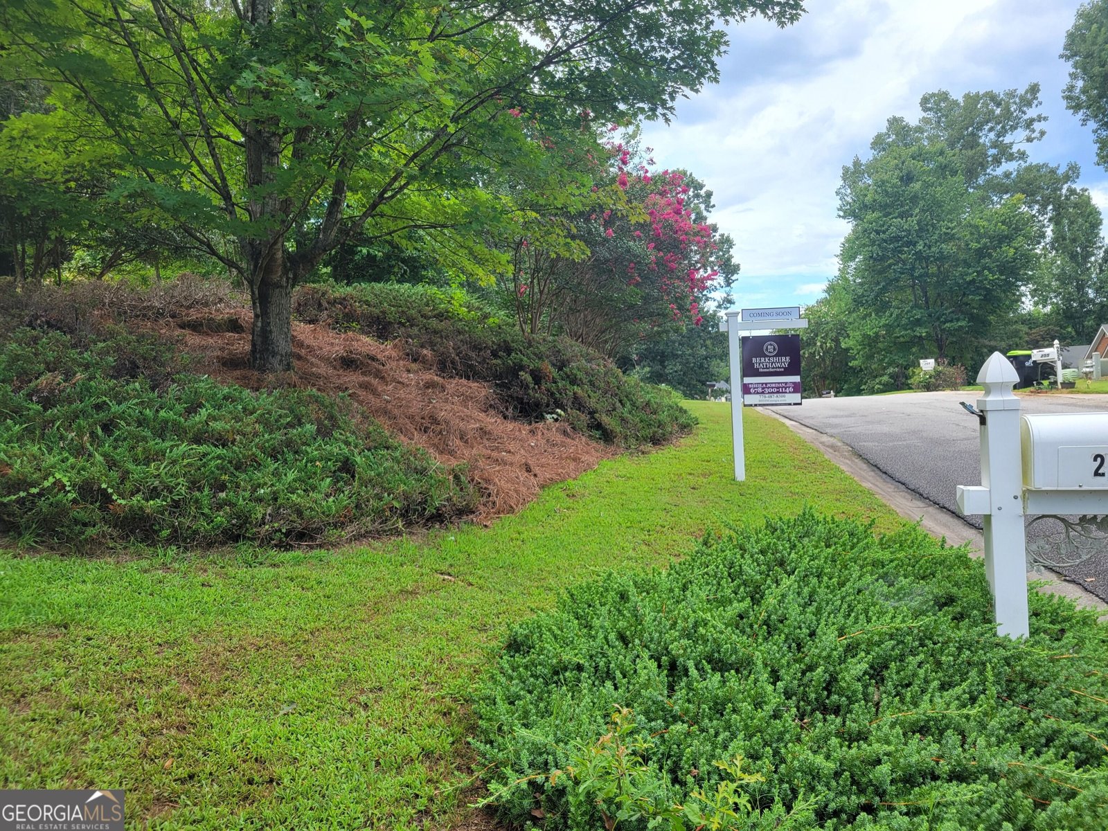 250 Jordan Place Fayetteville - Photo 33