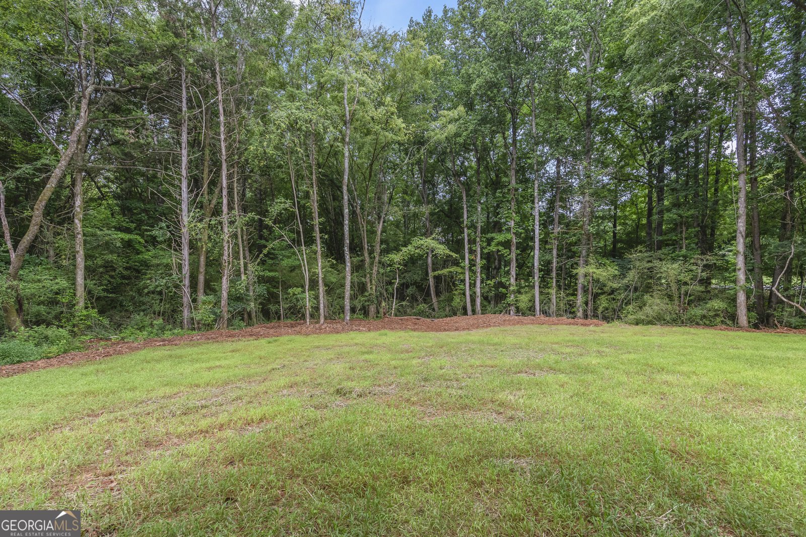 36 Tremont Drive Nicholson - Photo 68