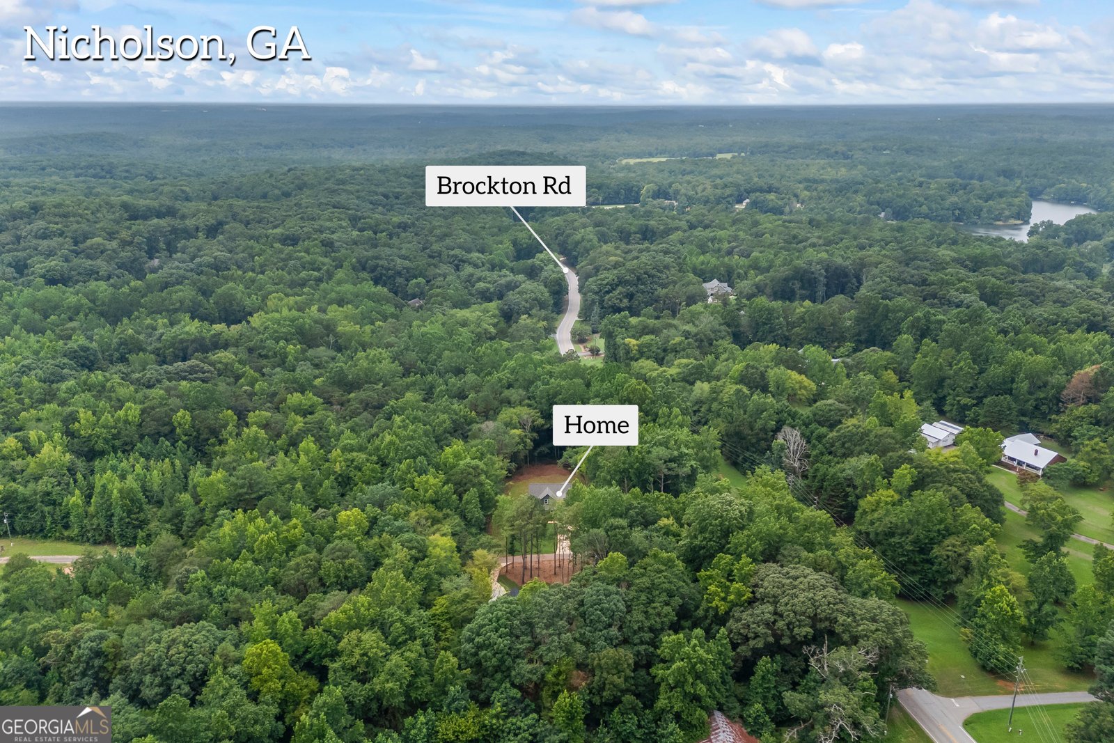 36 Tremont Drive Nicholson - Photo 79