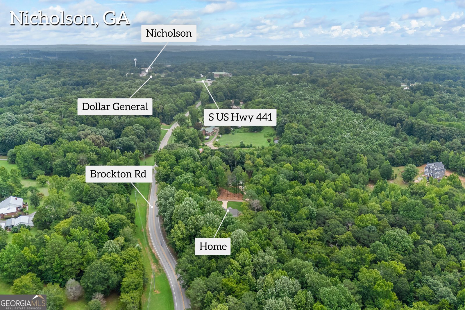 36 Tremont Drive Nicholson - Photo 84