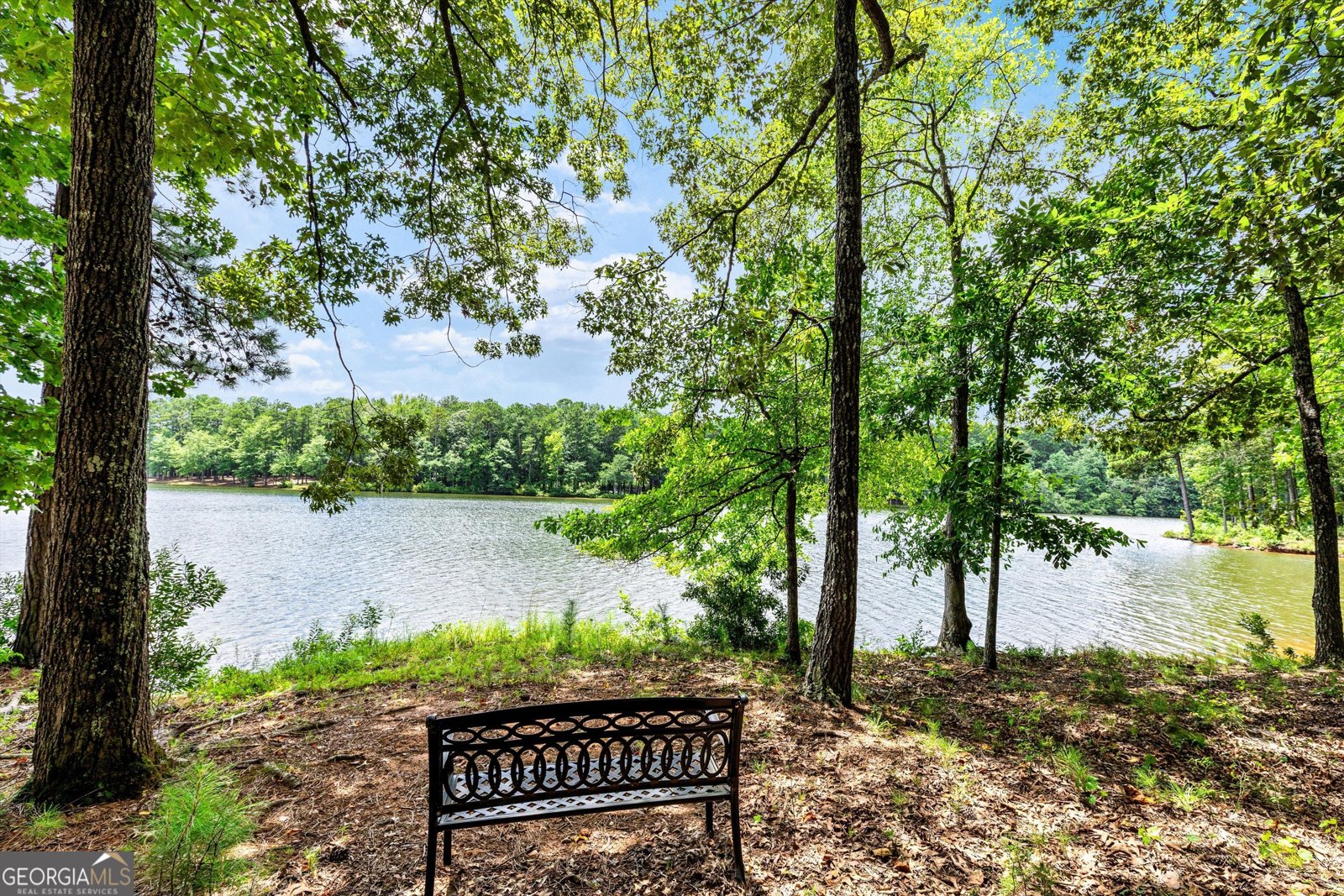 125 North Cove Drive Peachtree City - Photo 91