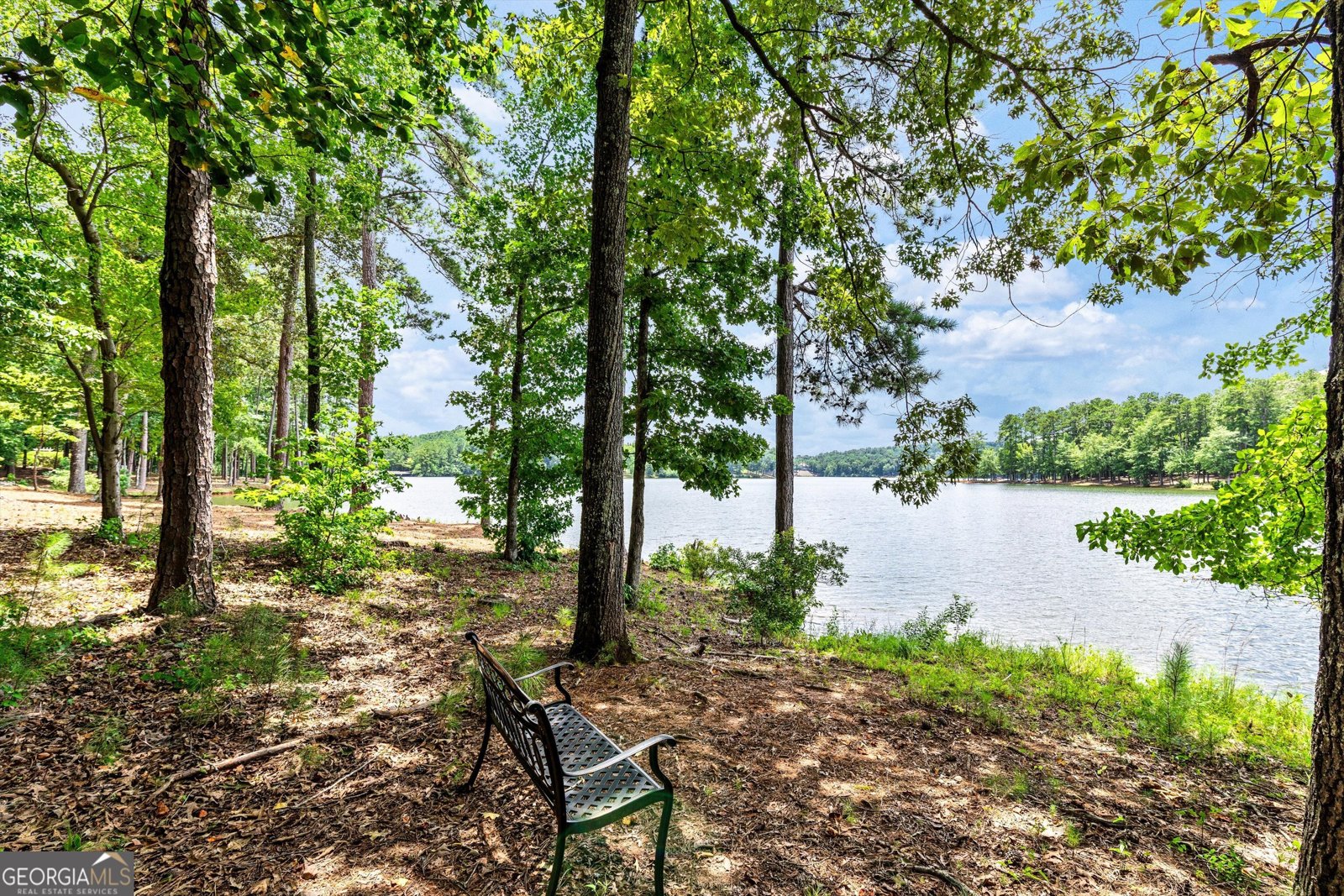 125 North Cove Drive Peachtree City - Photo 92
