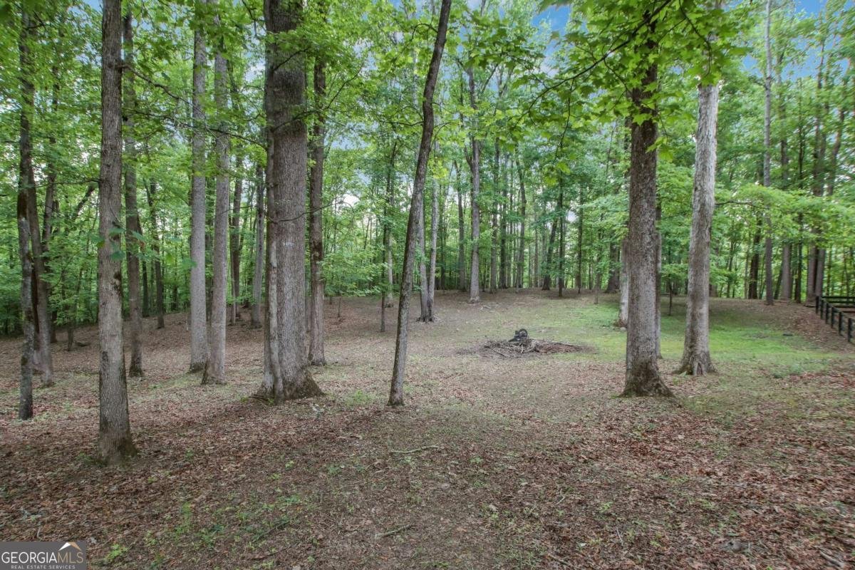18568 Birmingham Highway Alpharetta - Photo 68
