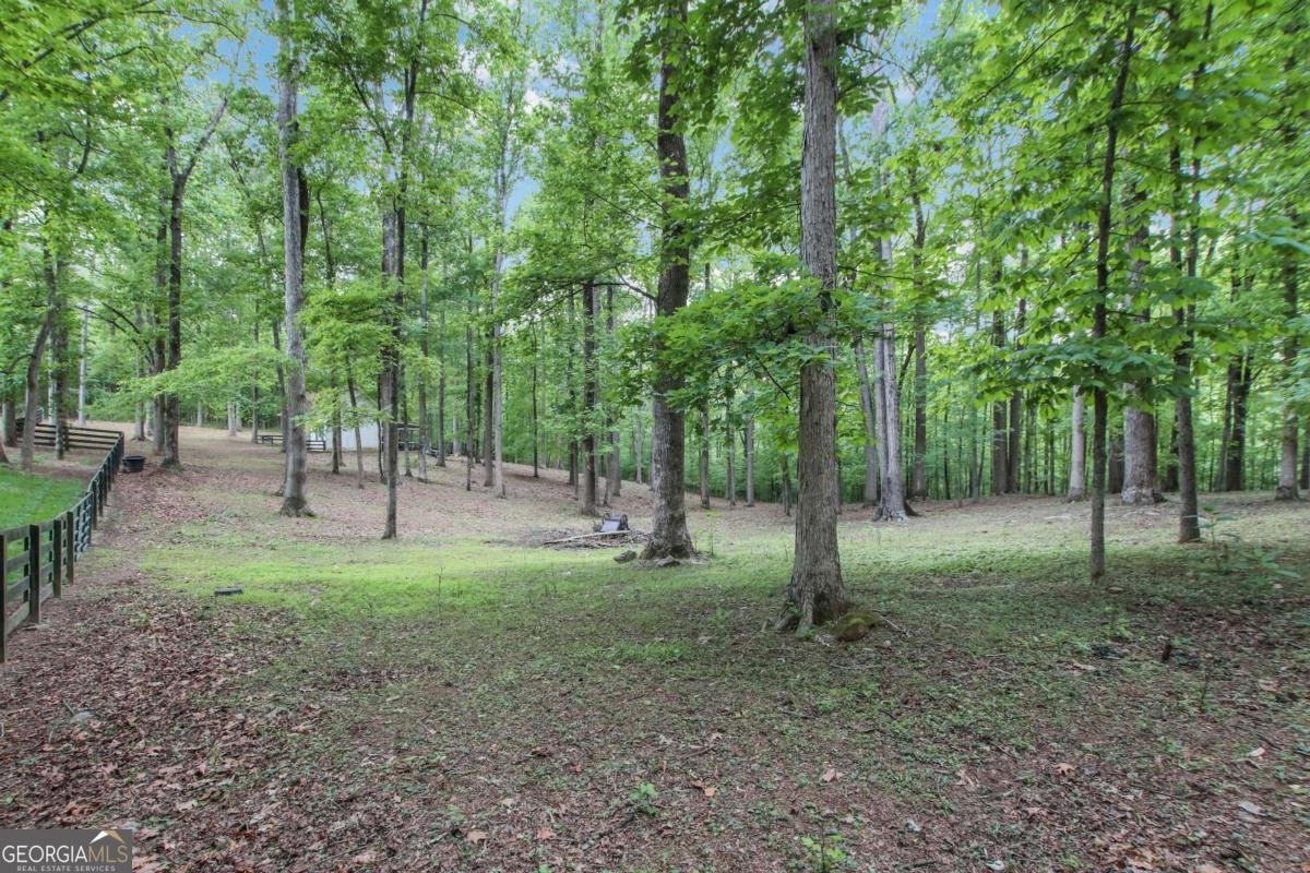 18568 Birmingham Highway Alpharetta - Photo 69