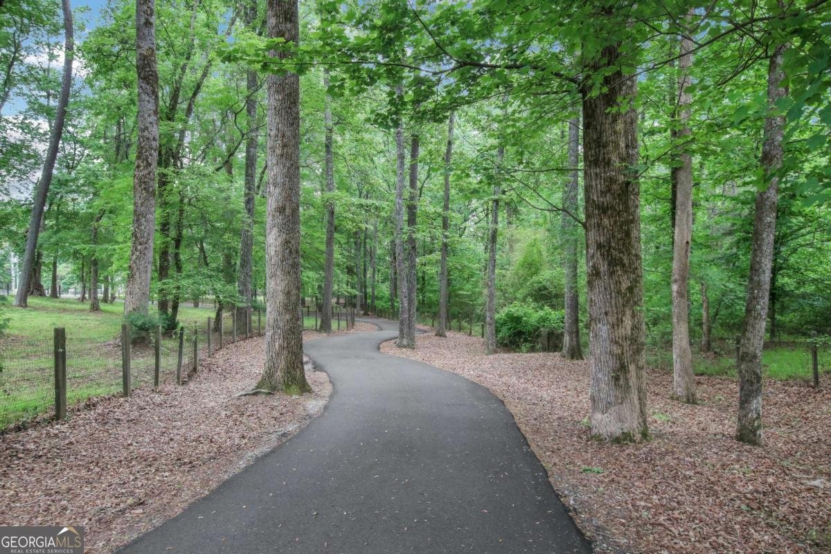 18568 Birmingham Highway Alpharetta - Photo 70