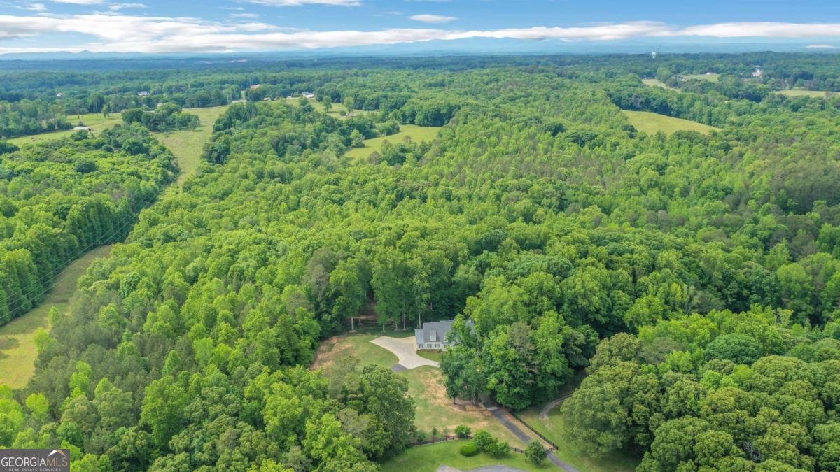 18568 Birmingham Highway Alpharetta - Photo 75