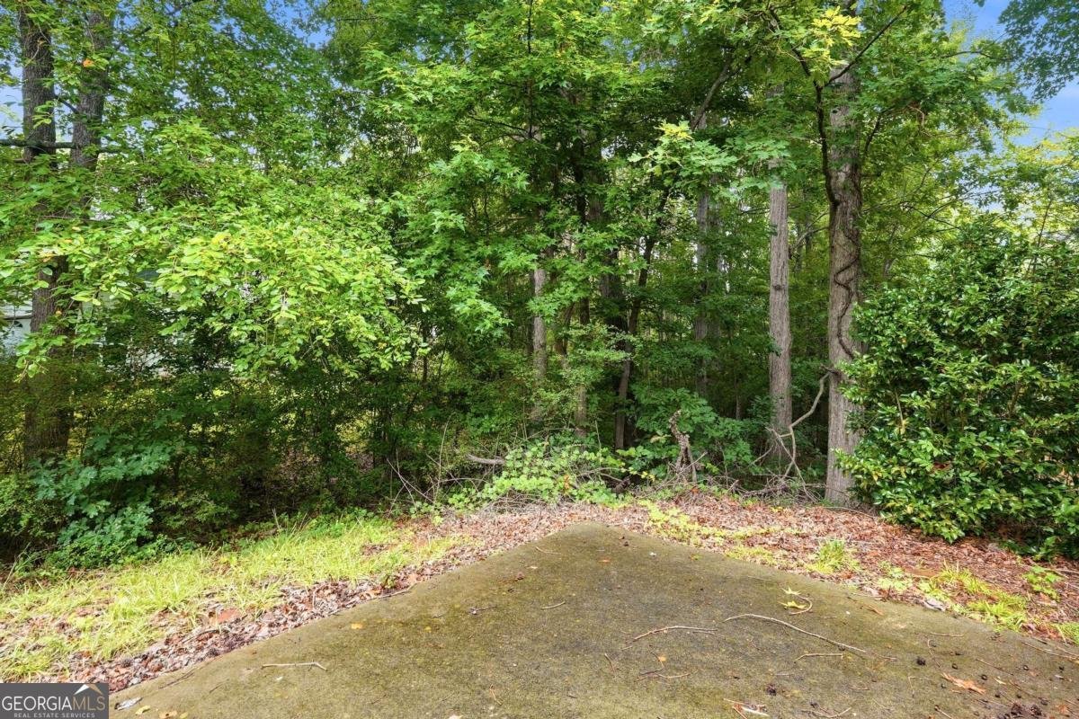 2581 Star Lane Decatur - Photo 43