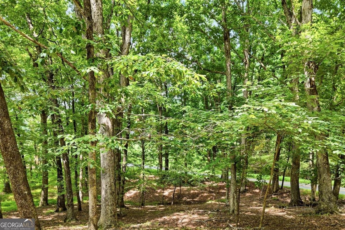 35 Quail Walk Jasper - Photo 36