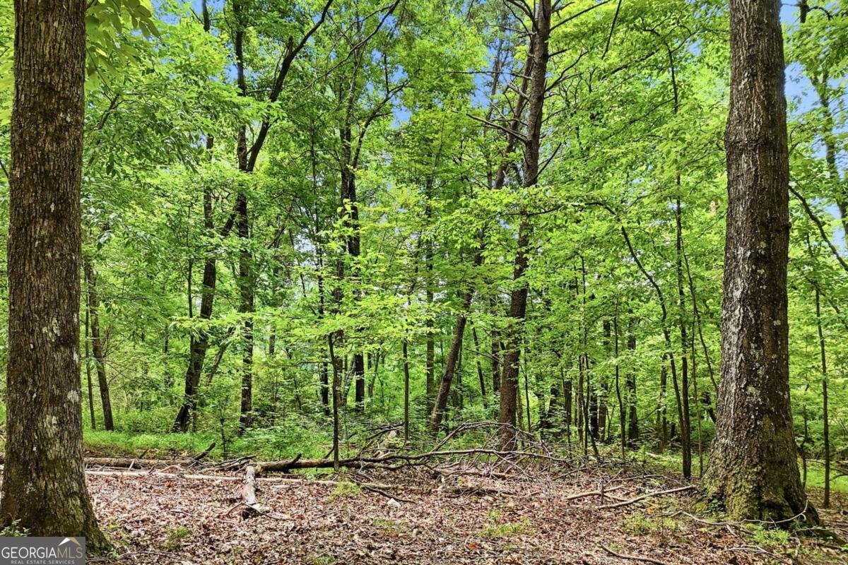 35 Quail Walk Jasper - Photo 38