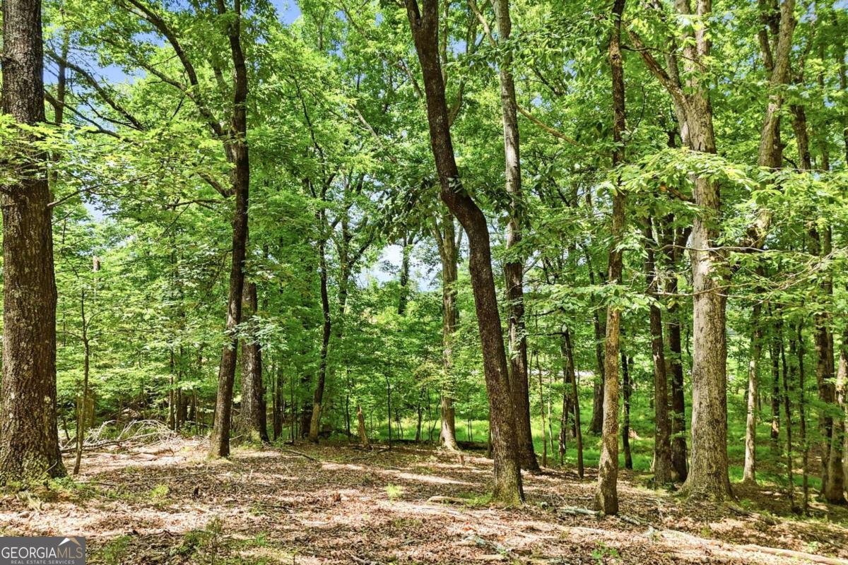 35 Quail Walk Jasper - Photo 39