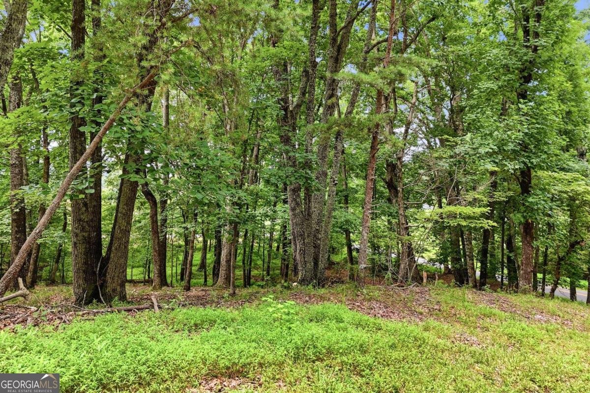 35 Quail Walk Jasper - Photo 40
