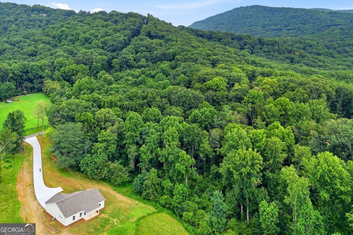 35 Quail Walk Jasper - Photo 48