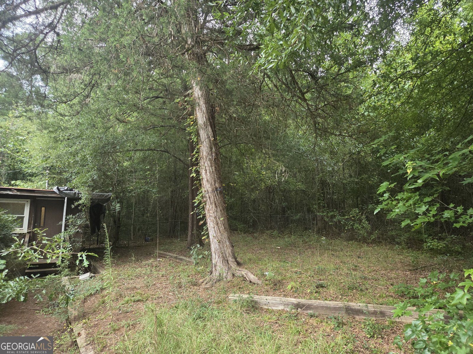 149 Cain Circle Milner - Photo 15