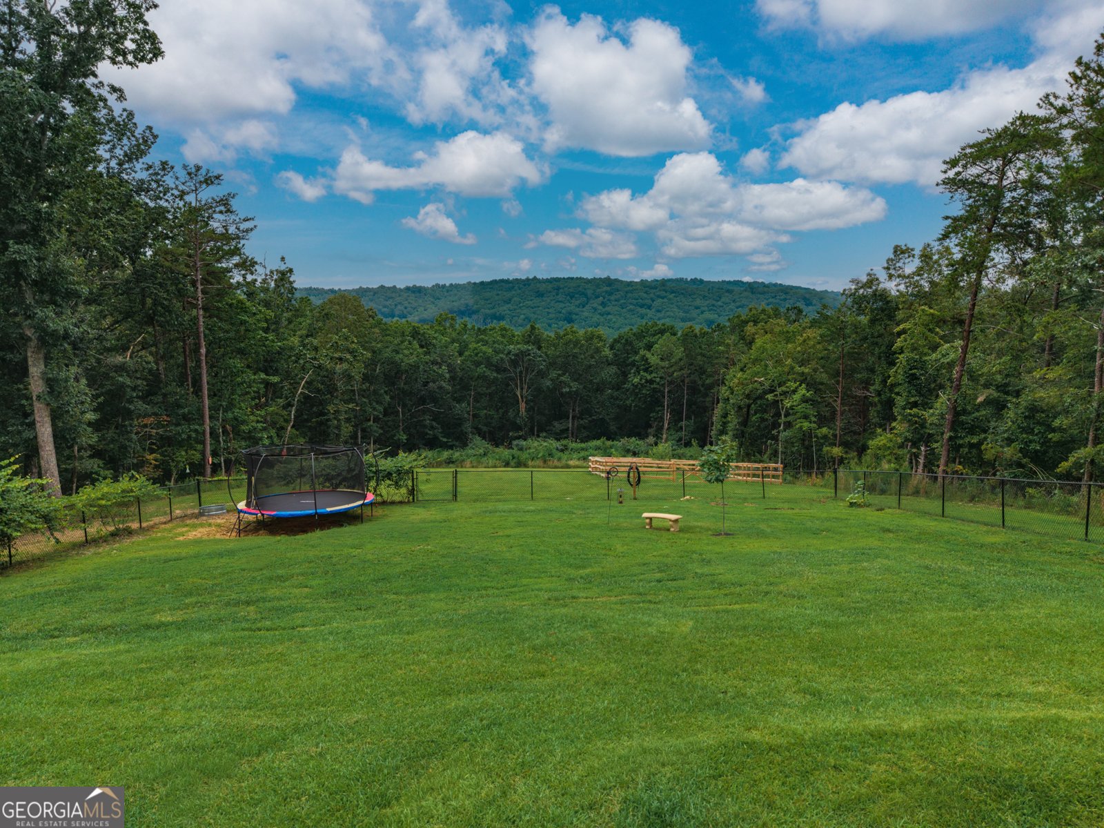 251 Birchwood Court Waleska - Photo 38