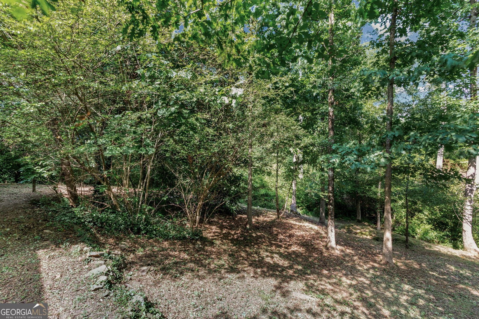 52 Fox Hollow Run Newnan - Photo 74