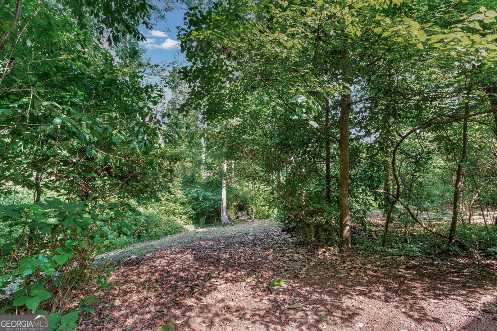 52 Fox Hollow Run Newnan - Photo 75