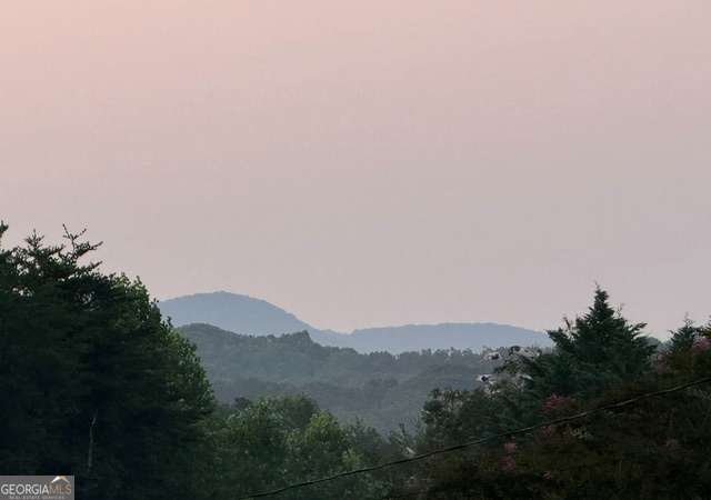 793 Soapstone Road Dahlonega - Photo 39
