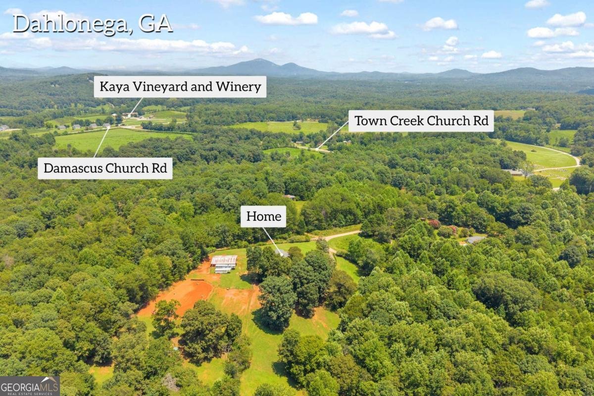 793 Soapstone Road Dahlonega - Photo 43