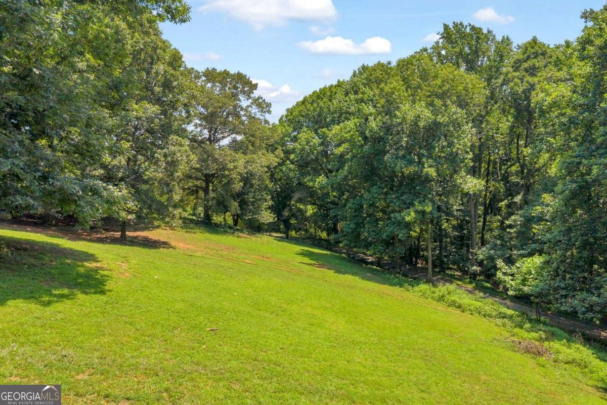 793 Soapstone Road Dahlonega - Photo 44