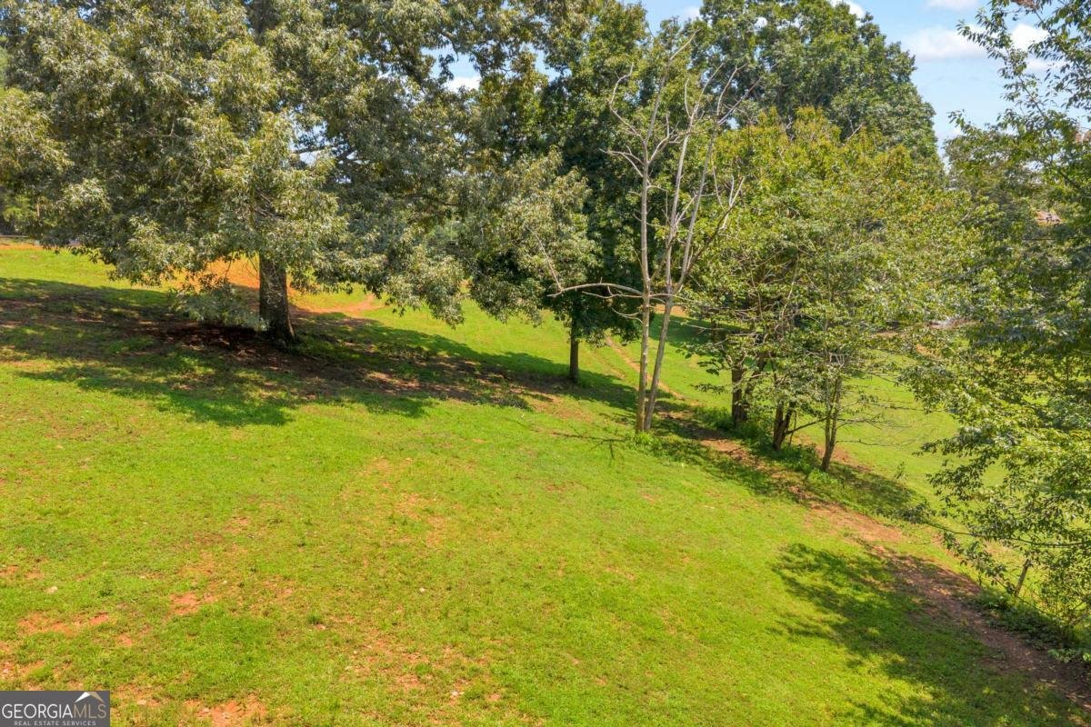 793 Soapstone Road Dahlonega - Photo 45