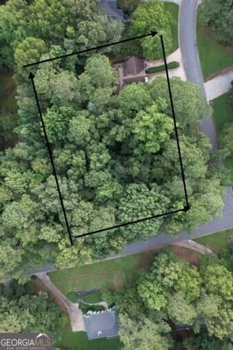 1024 Laurel Lake Drive Ball Ground - Photo 29
