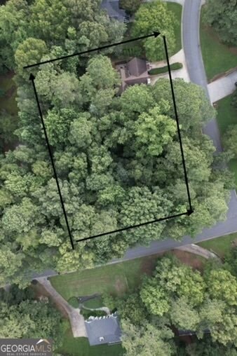 1024 Laurel Lake Drive Ball Ground - Photo 30