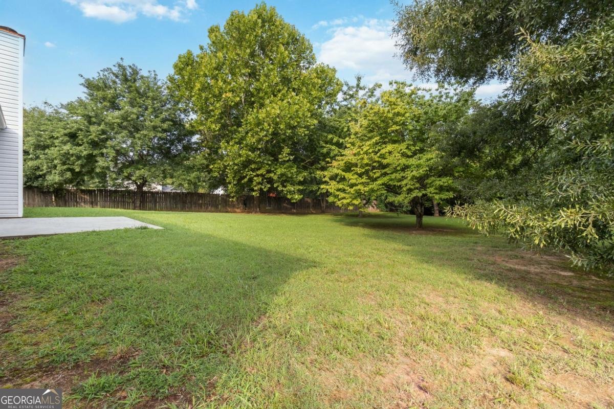 1672 Walters Park Court Loganville - Photo 28