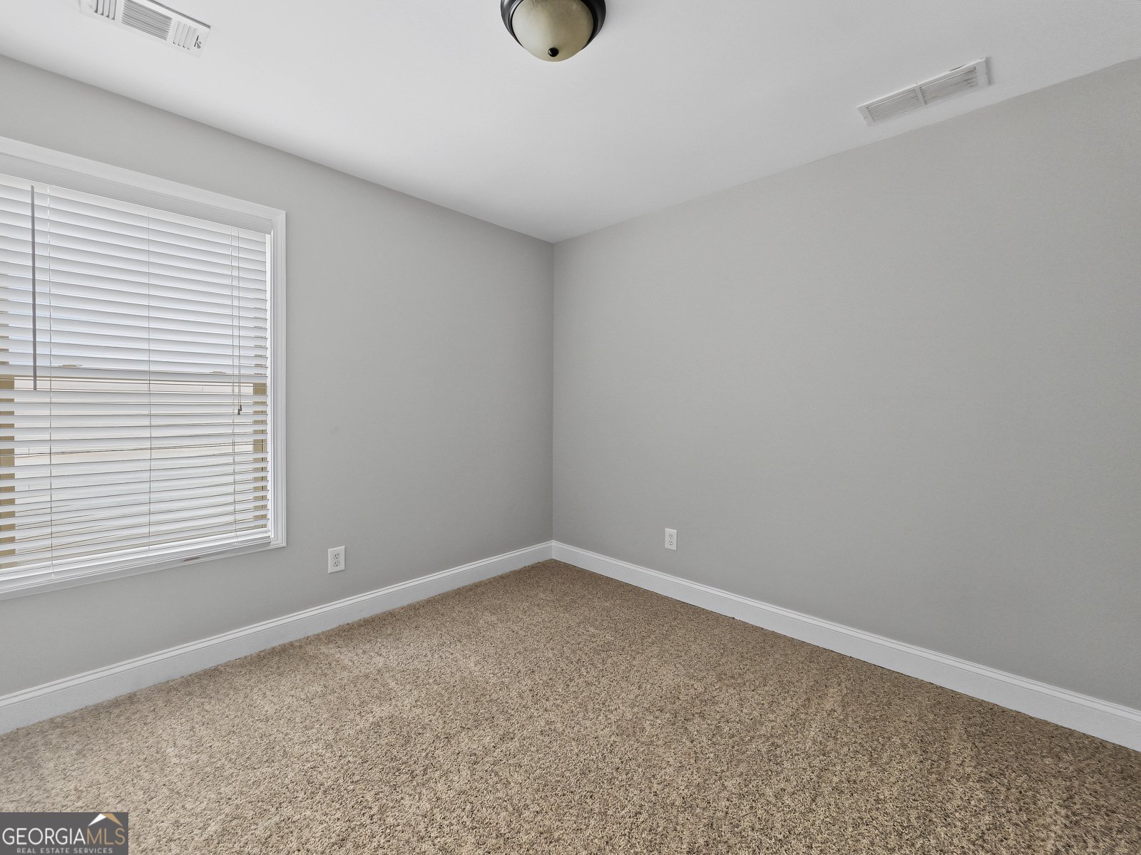 441 Sweet Ashley Way Loganville - Photo 14