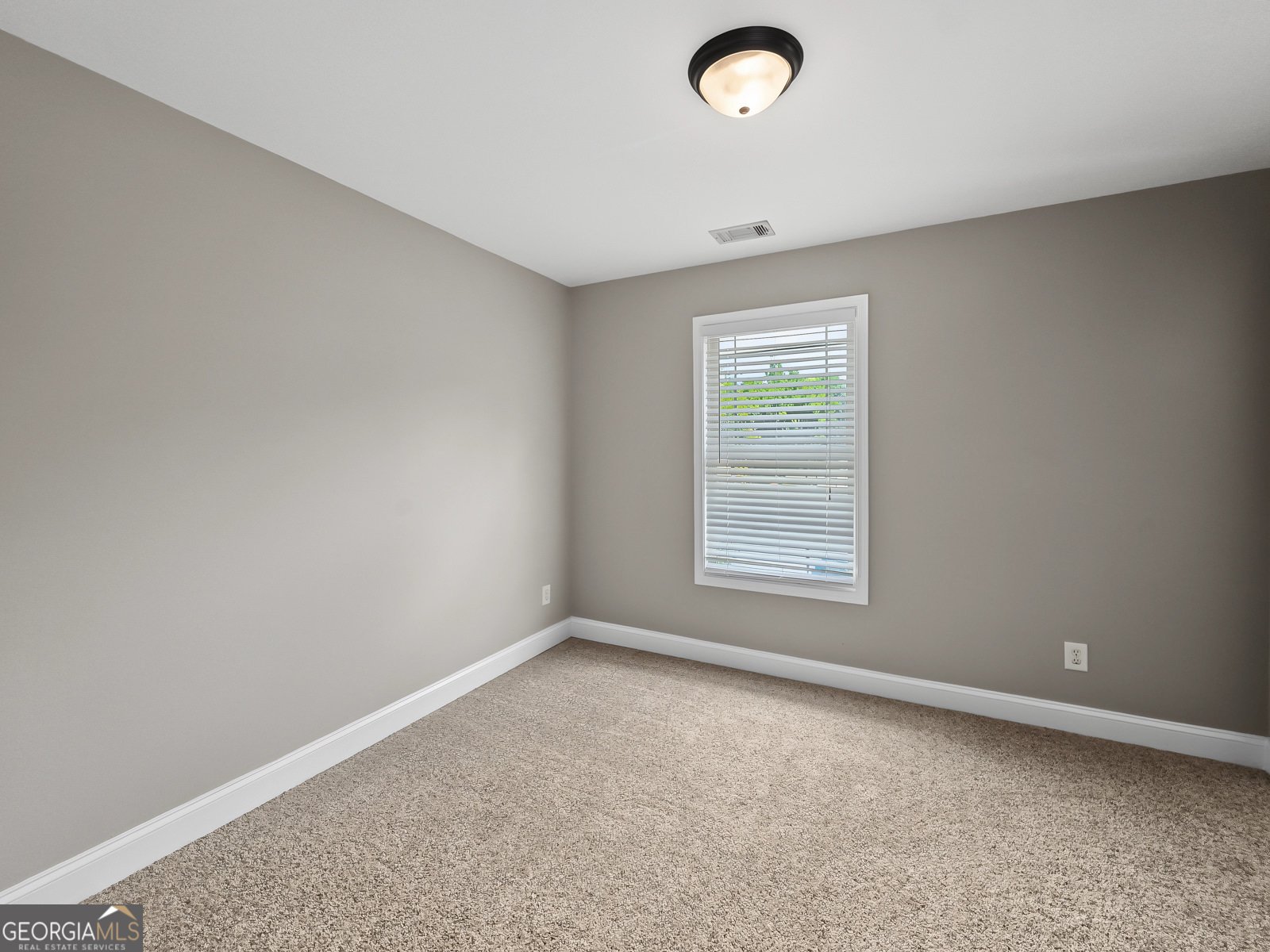 441 Sweet Ashley Way Loganville - Photo 23