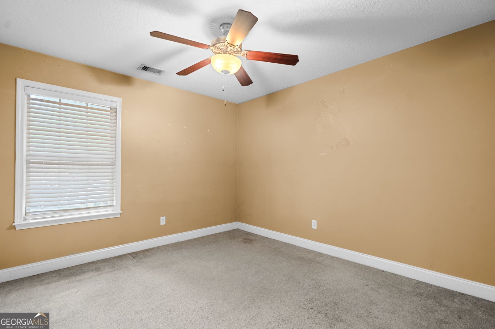 120 Blue Ridge Drive Statesboro - Photo 26