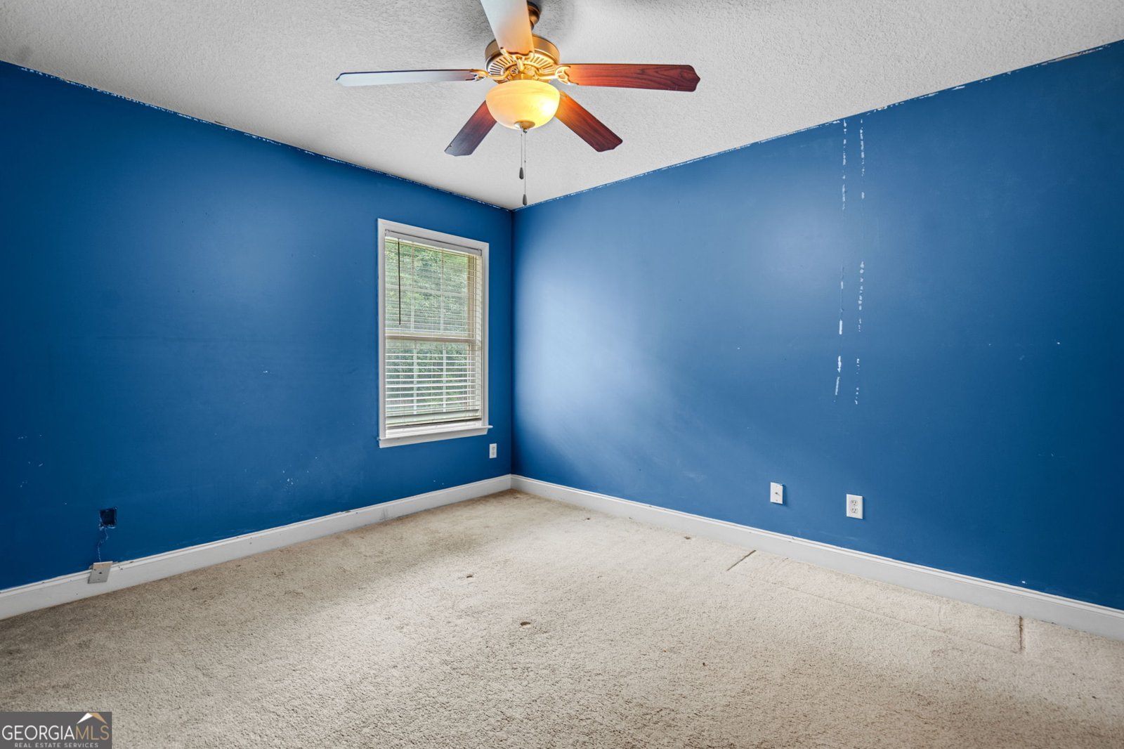 120 Blue Ridge Drive Statesboro - Photo 30