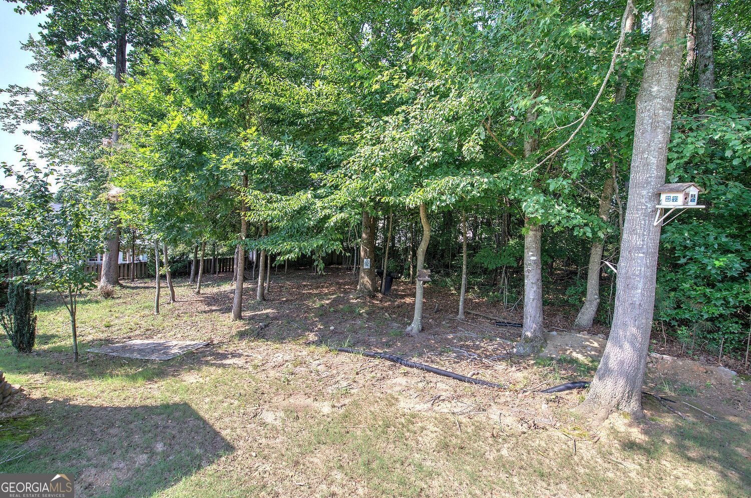 507 Appalachian Place Canton - Photo 56