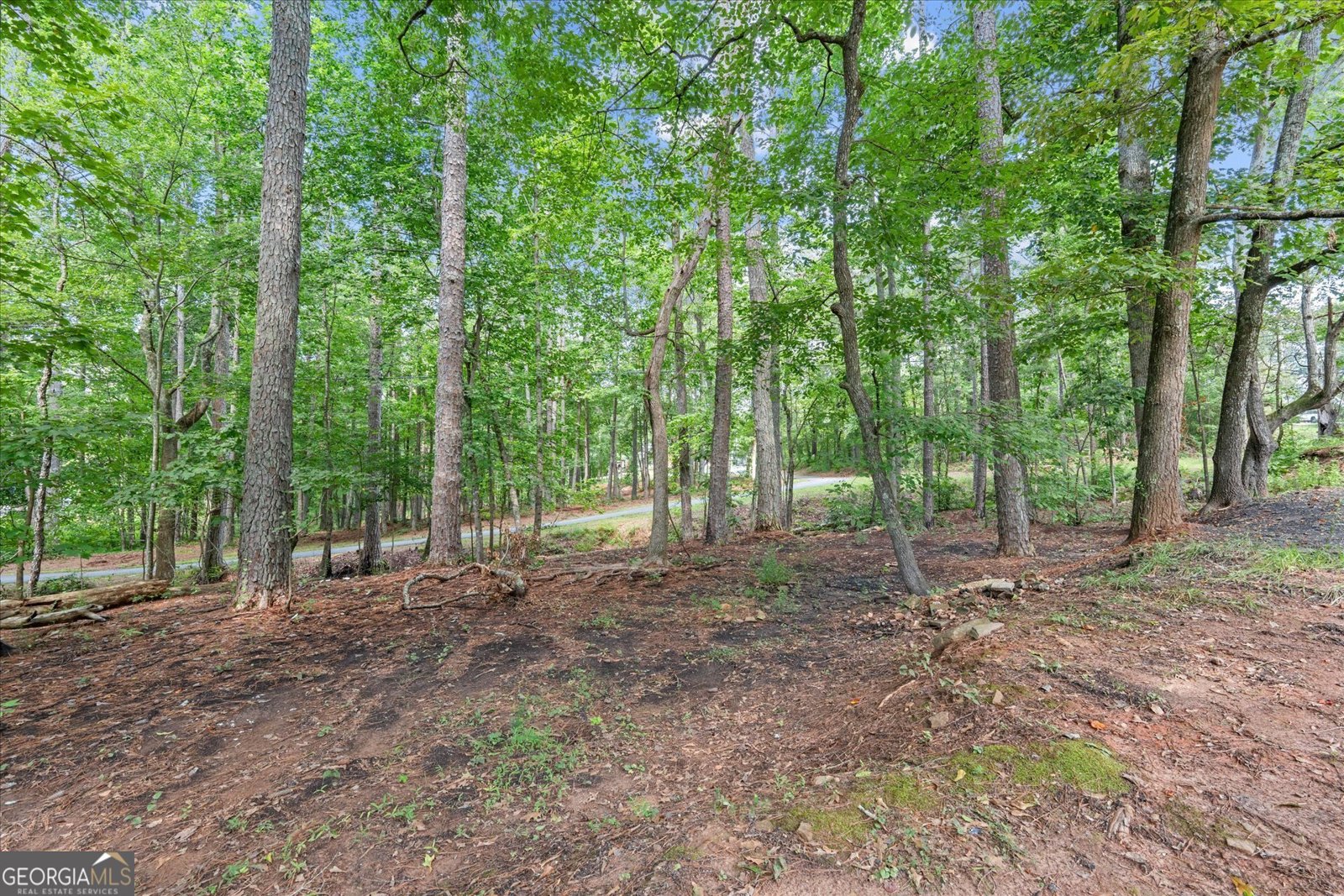 1229 Georgia Avenue Bremen - Photo 33
