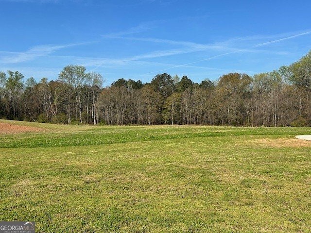 832 Barnesville Road Griffin - Photo 22