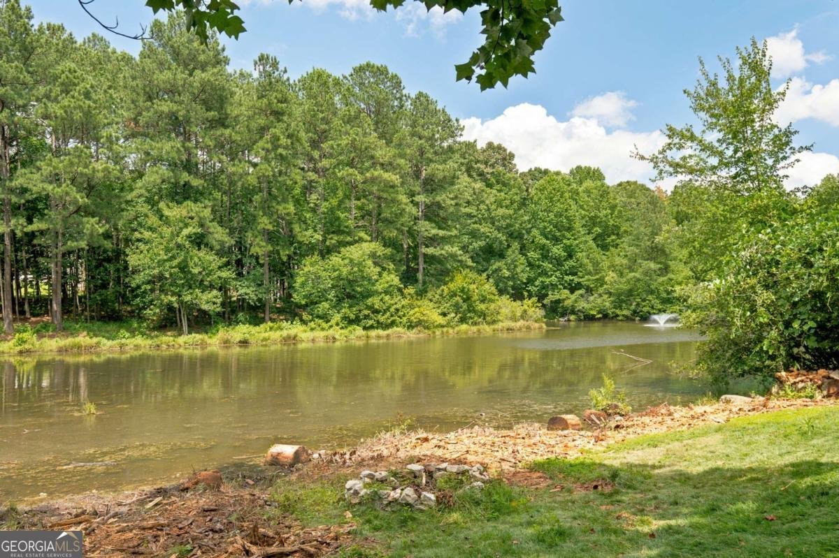 5001 Preservation Pointe Kennesaw - Photo 75