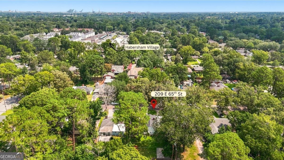 209 65th Street Savannah - Photo 61